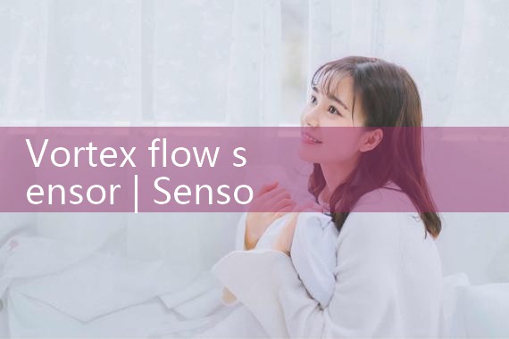 vortex flow sensor|gas flow meter