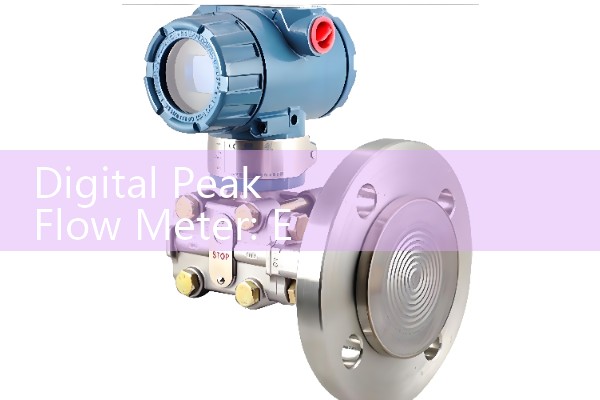 Digital Peak Flow Meter: Electronic Asthma Monitors vs Manual