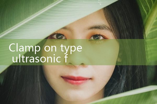 clamp on type ultrasonic flow meter|thermal flow meter