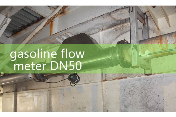 gasoline flow meter DN50