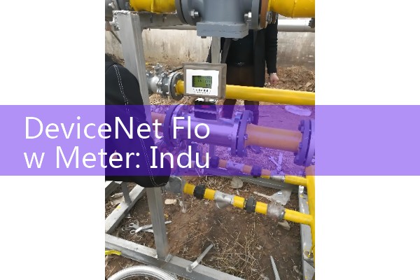 DeviceNet Flow Meter: Industrial Network Protocol Connected Process Controls
