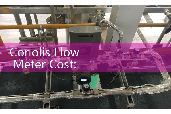 Coriolis Flow Meter Cost: Market factors affecting the pricing of mass flow systems.