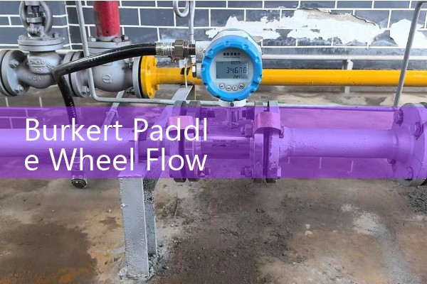 Burkert Paddle Wheel Flow Meter Maintenance for Industrial Dosing Systems