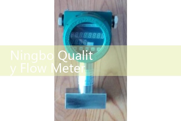 Ningbo Quality Flow Meter Manufacturer