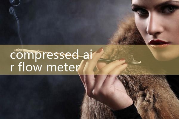 compressed air flow meter cfm|balo meter