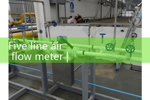 Five line air flow meter