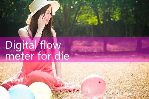 digital flow meter for diesel|rotameter flow meter