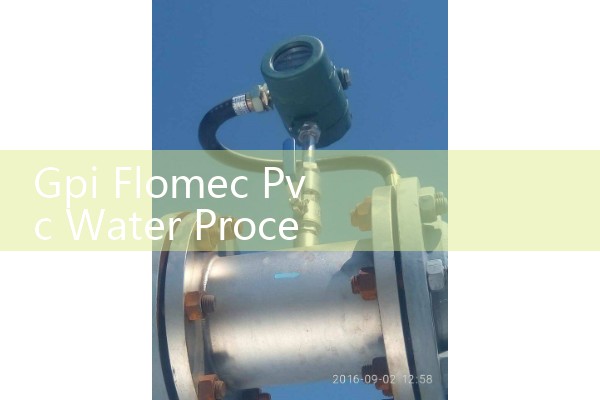 Gpi Flomec Pvc Water Processing and Irrigation Flow Meter Sizing Sheet: TM Series Sizing Guide