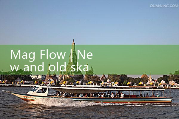 mag flow|gas flow meter