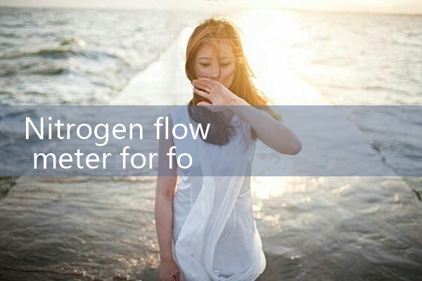 nitrogen flow meter for food industry|flow meter distributor