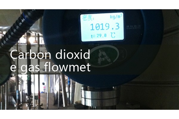 Carbon dioxide gas flowmeter