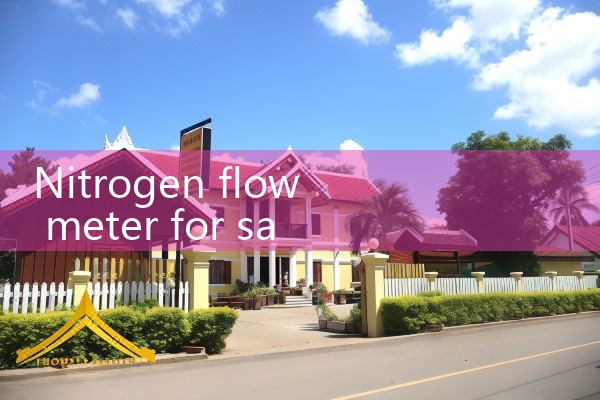 nitrogen flow meter for sale|thermal flow meter