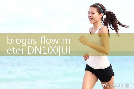 biogas flow meter DN100|flow meter distributor
