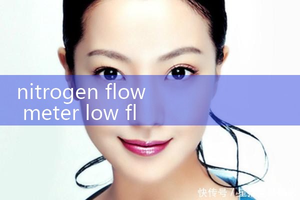 nitrogen flow meter low flow|flow meter distributor