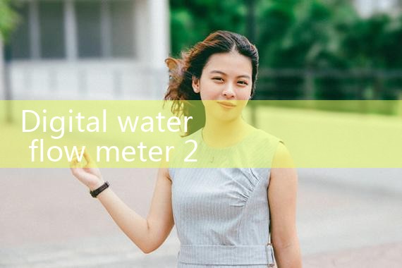 digital water flow meter 2 inch|rotameter flow meter