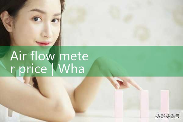 air flow meter price|rotameter flow meter