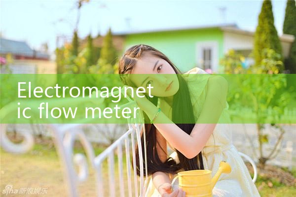 electromagnetic flow meter stainless steel body|gas flow meter