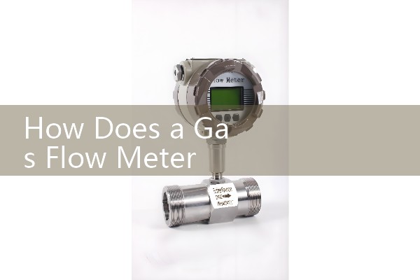 How Does a Gas Flow Meter Work: Saturated Vapor Line Principles