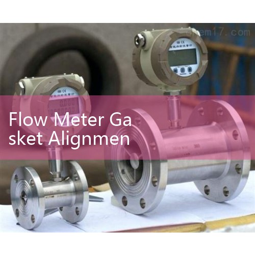 Flow Meter Gasket Alignment: Preventing Flange Gasket Protrusion and Turbulence Errors