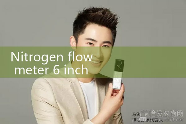 nitrogen flow meter 6 inch|flow meter distributor