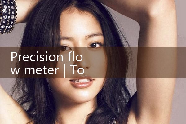 precision flow meter|rotameter flow meter