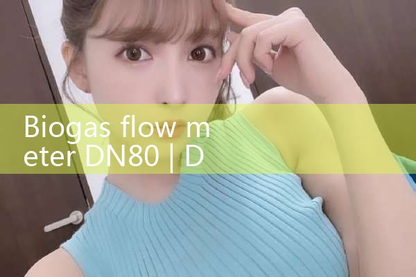 biogas flow meter DN80|flow meter distributor