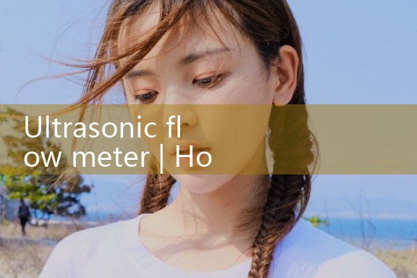 ultrasonic flow meter|rotameter flow meter