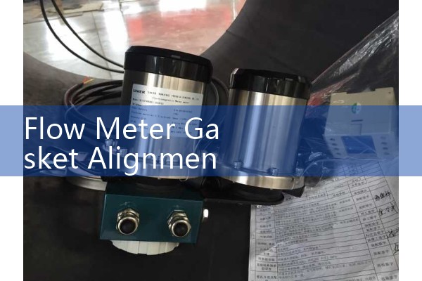 Flow Meter Gasket Alignment: Preventing Flange Gasket Protrusion and Turbulence Errors