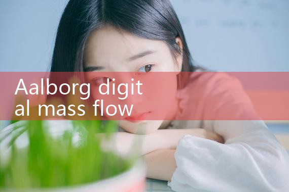 digital mass flow meter|mass flow meter