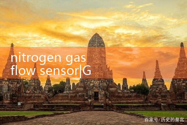 nitrogen gas flow sensor|flow meter distributor