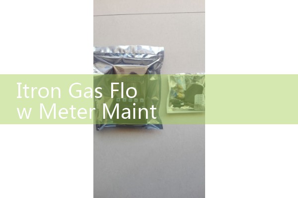 Itron Gas Flow Meter Maintenance: Servicing Diaphragm and Rotary Totalizers for Municipal Custody Transfer Lines