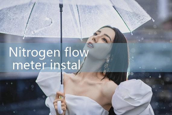 nitrogen flow meter installation|thermal flow meter