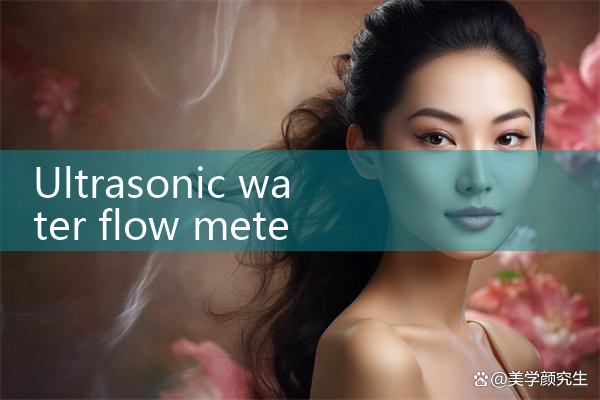 ultrasonic water flow meter|thermal flow meter