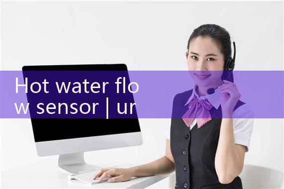 hot water flow sensor|rotameter flow meter
