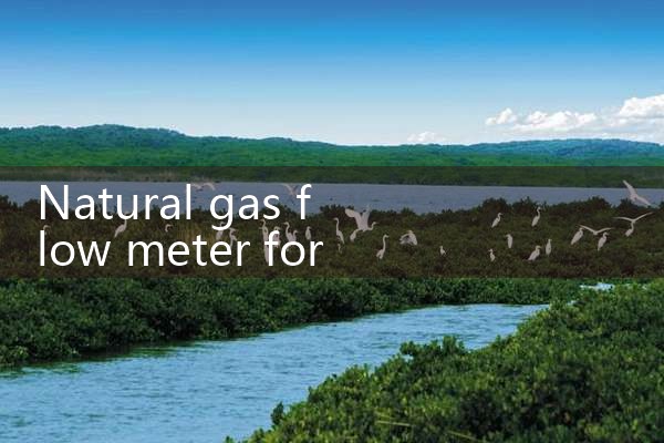 natural gas flow meter for LNG|balo meter