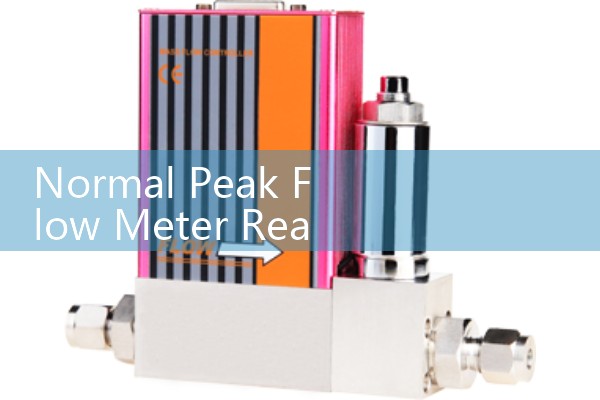 Normal Peak Flow Meter Reading: Ideal Targets by Demographics