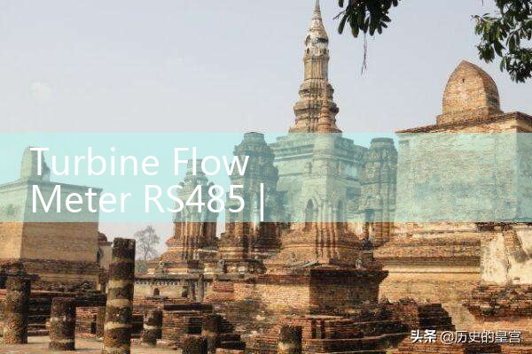 turbine flow meter RS485|mass flow meter