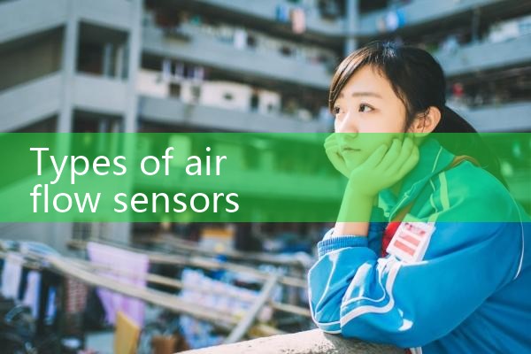 types of air flow sensors|rotameter flow meter