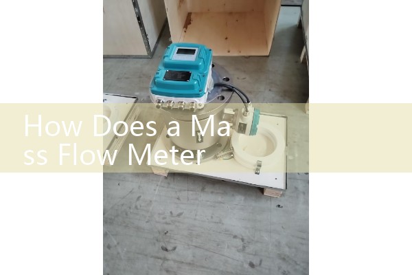 How Does a Mass Flow Meter Work: Coriolis Phase Shift Explained