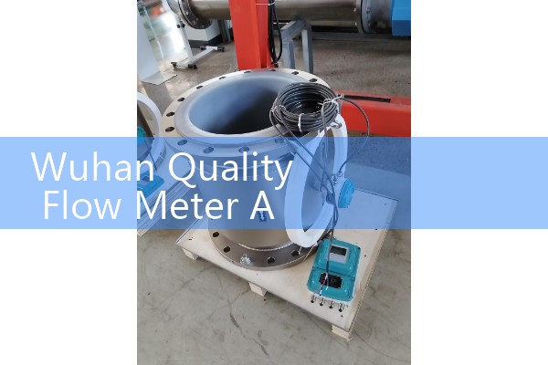 Wuhan Quality Flow Meter Agent