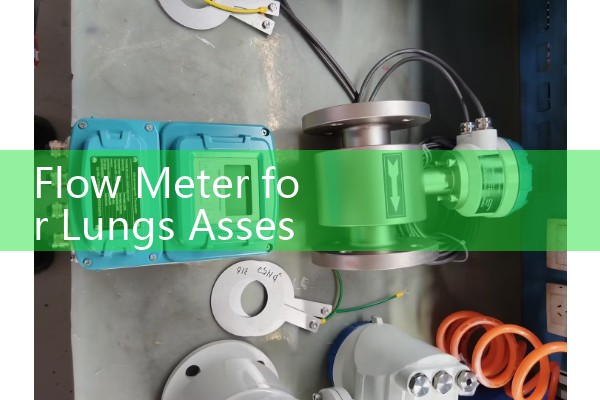 Flow Meter for Lungs Assessment: Calibrating Peak Expiratory Flow Devices for Asthma