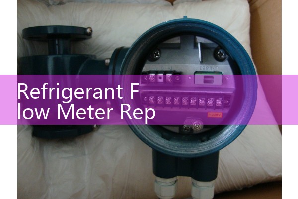 IFM flowmeter