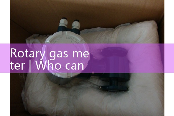 rotary gas meter|orifice meter