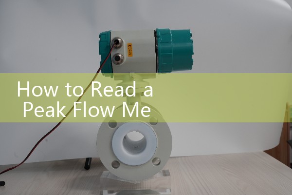 How to Read a Peak Flow Meter Asthma: Tracking Red, Yellow, and Green Action Bands