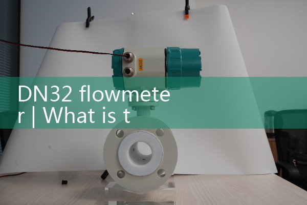 DN32 flowmeter