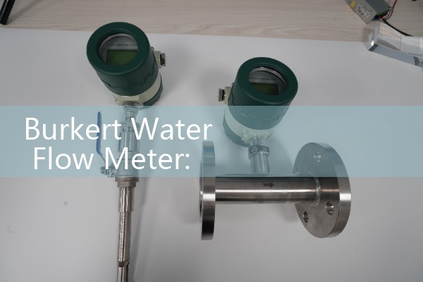 Natural gas flowmeter model