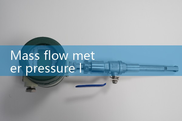 Pressure loss of mass flowmeter