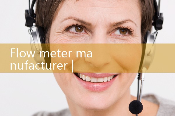 flow meter manufacturer|rotameter flow meter