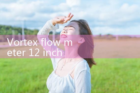 vortex flow meter 12 inch|mass flow meter