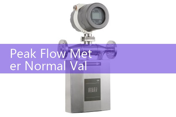 Tongling Quality Flow Meter Manufacturer